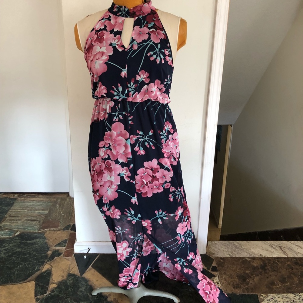 Never Worn Sienna Sky Maxi Floral Dress